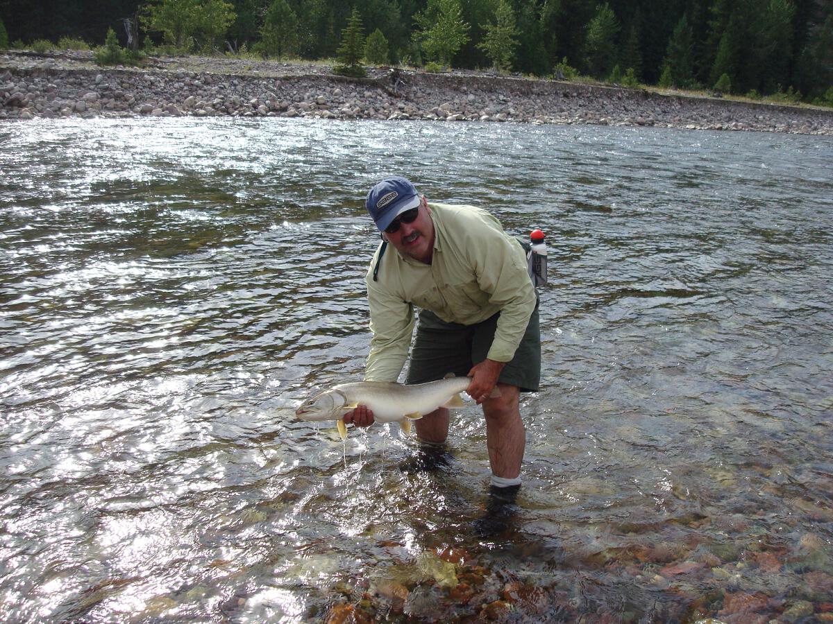 Releasing a Bull Trout